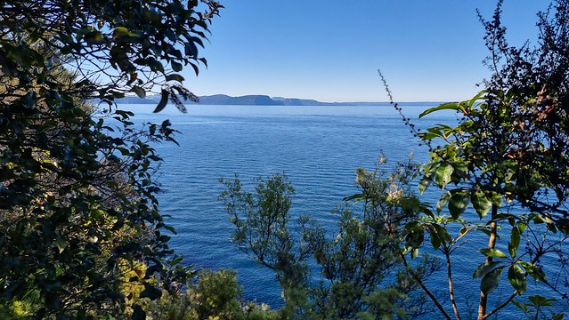 Waihora Trail