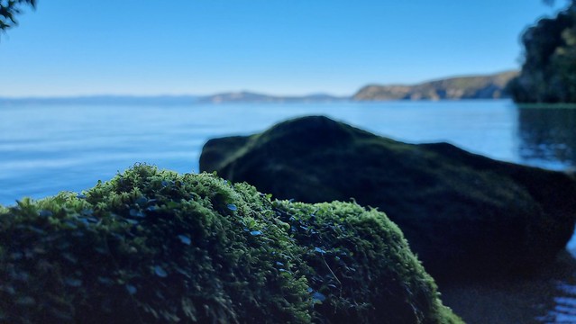 Waihora Beach