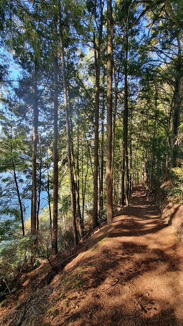 Waikato River Trail