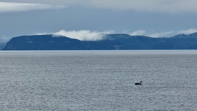 Motuoapa Bay View
