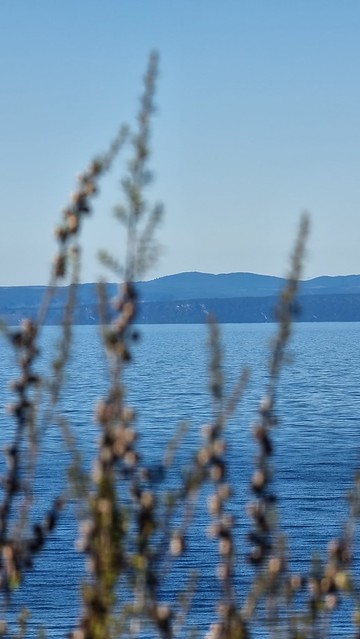 Waihora Trail