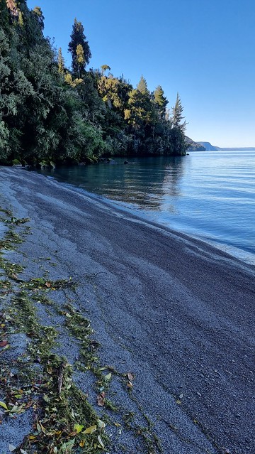 Waihora Beach