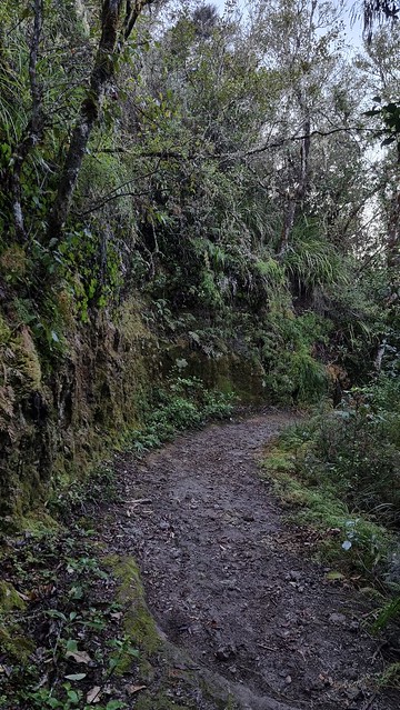 Waihora Trail