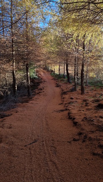 Waihaha Trail