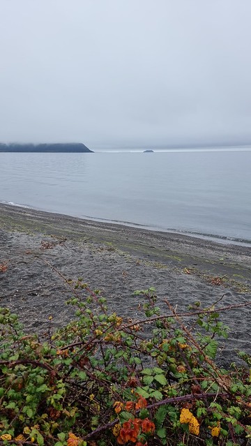 Lake Taupo merge