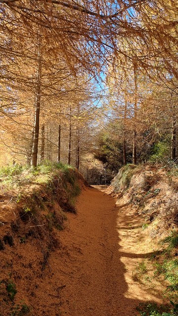 Waihaha Trail