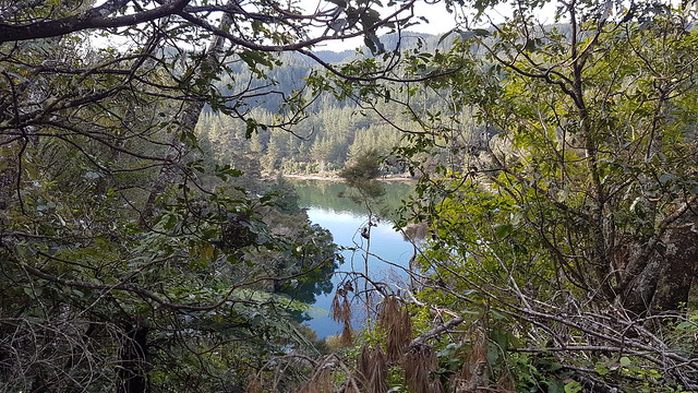 Lake Waipapa