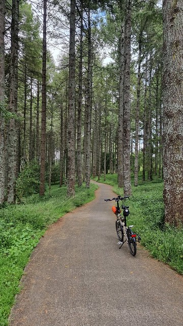 Sandford Park Loop