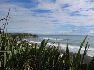 The coast