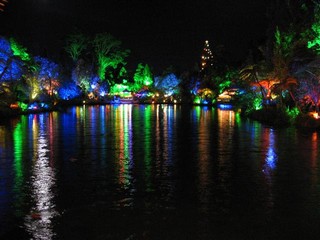 IMG_0345