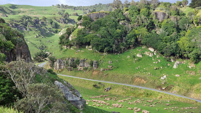 Waikawau Stream Valley, Limestone Downs, about 8km South of Port Waikato
