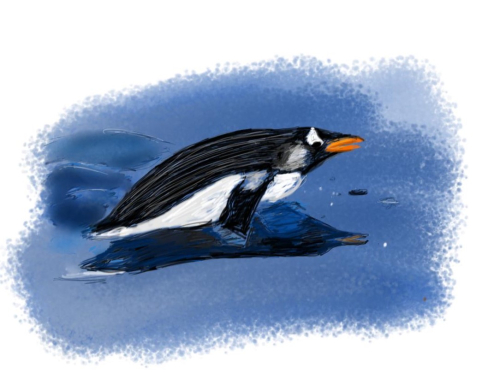 Penguin Sketch Day 2021 (Final) Penguin Sketch Day 2021 (Final)
