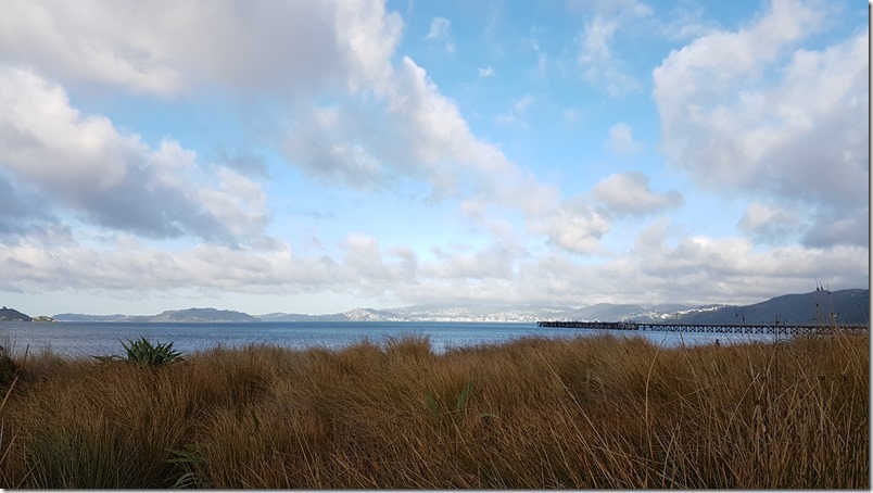 Petone Seafront Petone Seafront