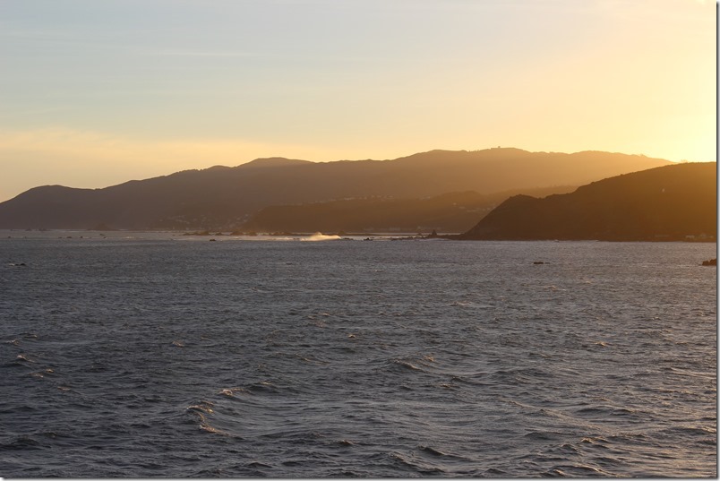 Cook Strait Moa Point Cook Strait Moa Point