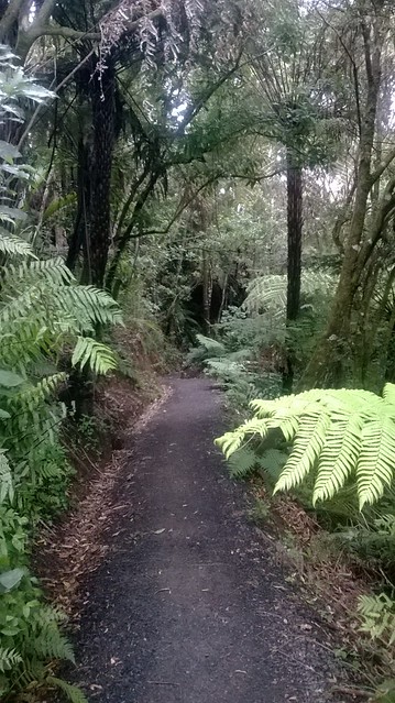 Beveridge Track - Lumia 520 Camera Test