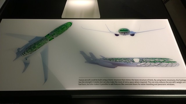 Future aircraft bionic structure which mimics bone