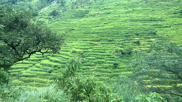 Terraces on Arniko Highway