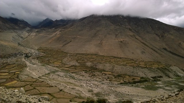 Lalung La Pass cultivation