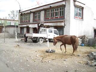 Horse & truck parking