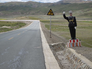 Hi, or Halt?, waves the plastic policeman