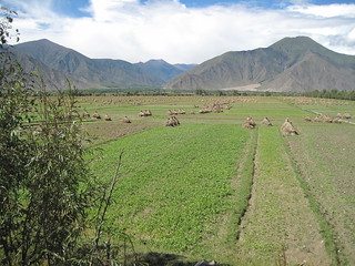 Lhasa to Gangna Camp ride