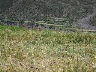 Kambala Pass to Yamzo Yumco (Scorpion) lake ride