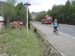 Lhasa to Gangna Camp ride