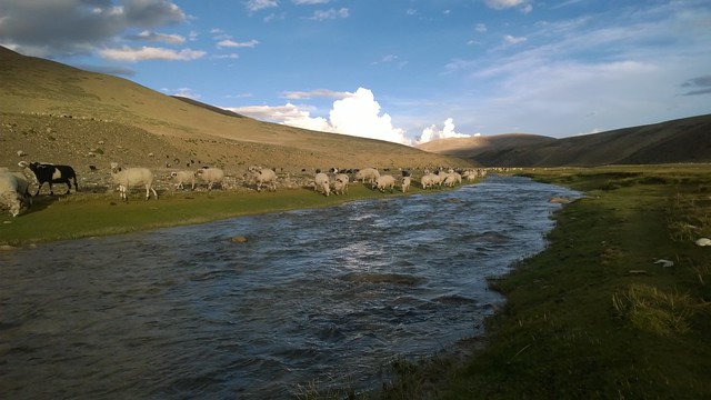 Lalung La Pass Saddle Camp