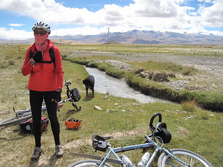 B, Bike and a dog