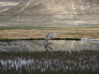 Prayer flags in the lake