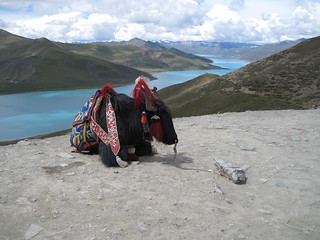 Kambala Pass to Yamzo Yumco (Scorpion) lake ride