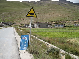 Kambala Pass to Yamzo Yumco (Scorpion) lake ride