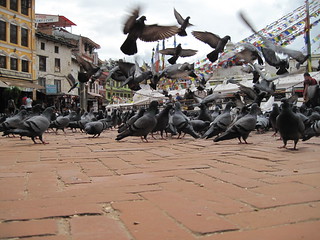 Boudhanath Stupa Kathmandu