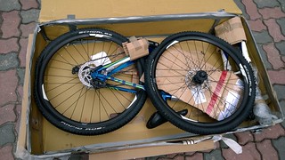 Rapid Rob, clean & packed