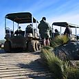 Argos are a cool way to travel - to see a penguin