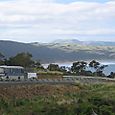 Catlins Rush Hour