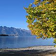 Autumn arriving