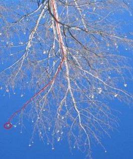 2006_04_08_IMG_1661 (Small)