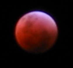 Total Lunar Eclipse 28/29-08-2007