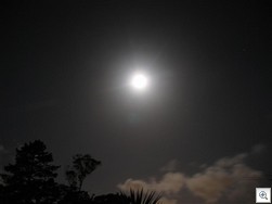 Just as it started ((Click the thumb to enlage)