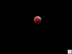 Going, lovely purples & hint of red…