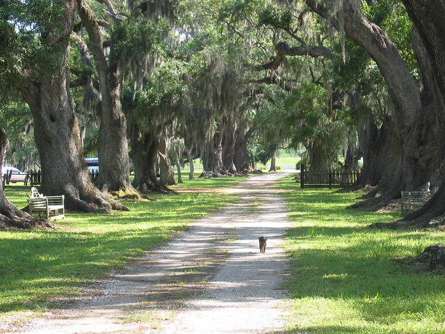 Evergreen Plantation, Wallace, Louisiana