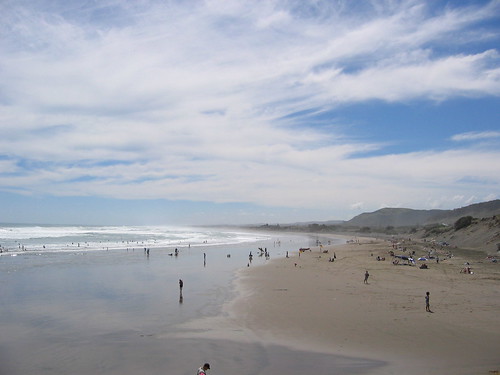 Muriwai, on a busy day
