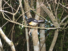 2005_04_12_IMG_0189