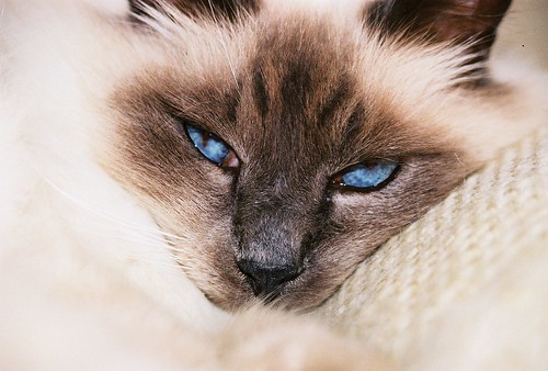 Casper at rest, the usual position...