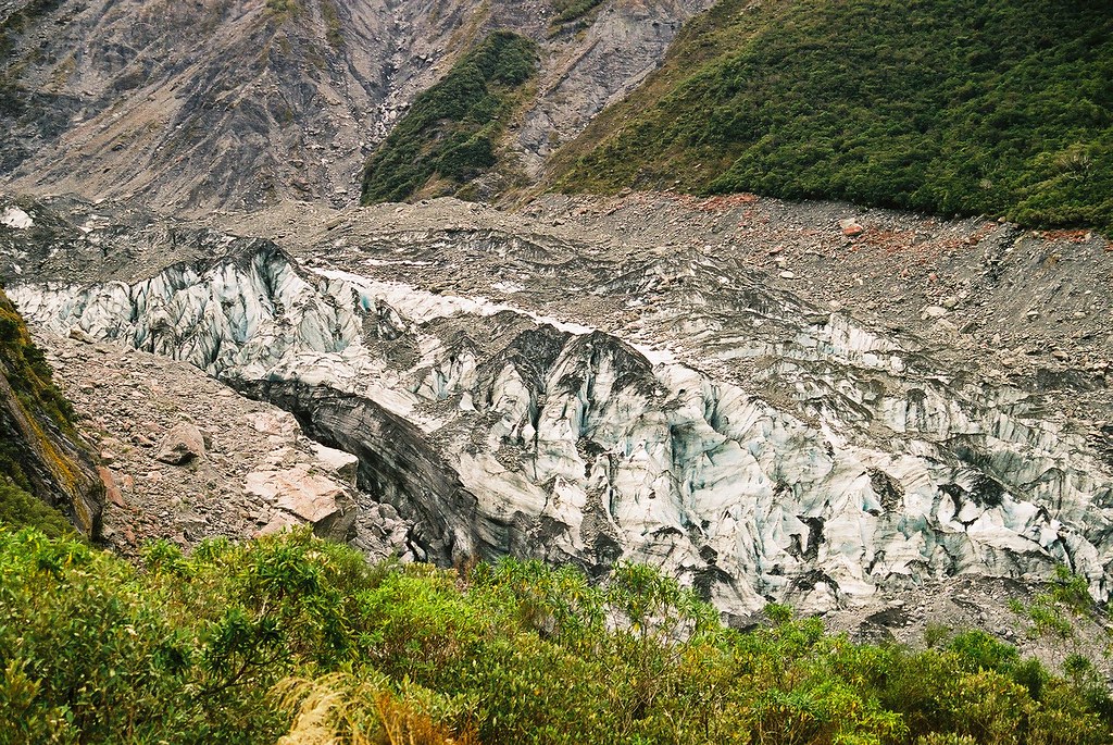 Fox Glacier Walk