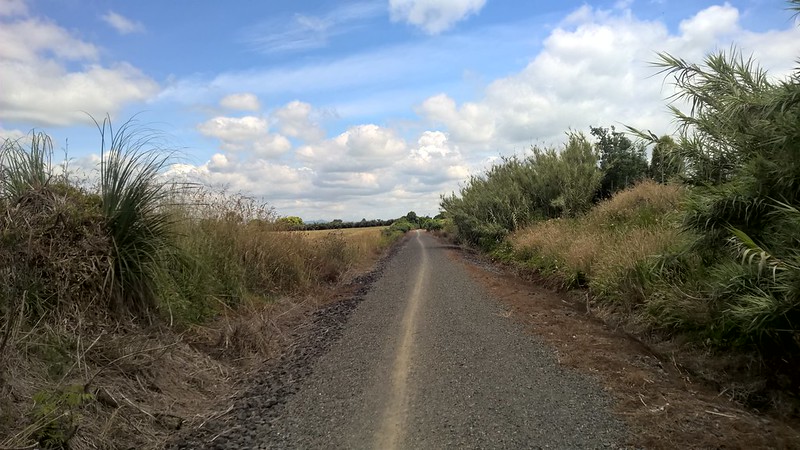 Leaving Te Aroha