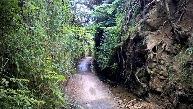 Karangahake Gorge