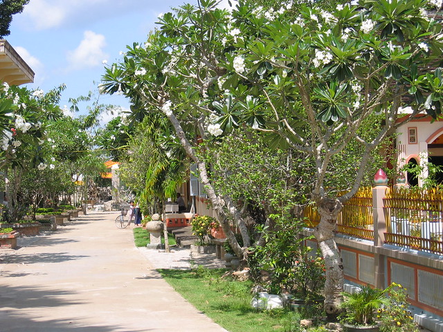 Elaborate gardens