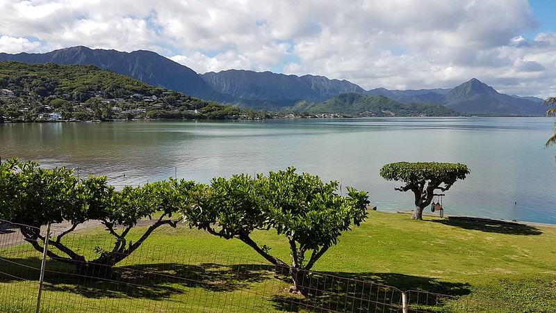 Idyllic, no wind